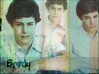 Adam Brody : adamgreenwallpaper.jpg