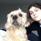 Alexandra Daddario : alexandra-daddario-1400361645.jpg