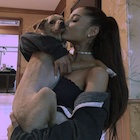 Ariana Grande : ariana-grande-1439464801.jpg