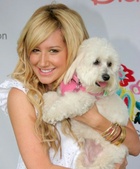 Ashley Tisdale : ashley_tisdale_1194976321.jpg