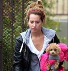 Ashley Tisdale : ashley_tisdale_1201540407.jpg