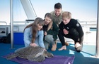 Bindi Irwin : TI4U1629838114.jpg