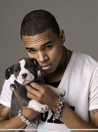 Chris Brown : chris_brown_1185288276.jpg