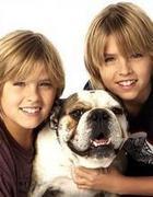 Cole & Dylan Sprouse : TI4U_u1220699535.jpg