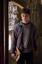 Daniel Radcliffe : daniel-radcliffe-1313508133.jpg