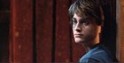 Daniel Radcliffe : daniel_radcliffe_1216007713.jpg