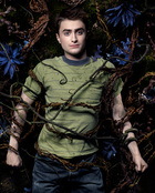 Daniel Radcliffe : daniel_radcliffe_1248796419.jpg