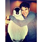 Darren Criss : darren-criss-1320274063.jpg