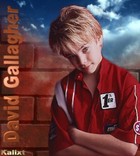 David Gallagher : 123.jpg