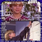 David Gallagher : david-gallagher-1435154390.jpg