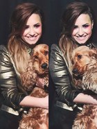 Demi Lovato : demi-lovato-1402164325.jpg