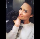 Demi Lovato : demi-lovato-1447558081.jpg