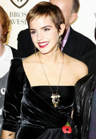 Emma Watson : emma-watson-1315420483.jpg