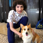 Finn Wolfhard : finn-wolfhard-1533516350.jpg