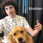 Finn Wolfhard : finn-wolfhard-1533516355.jpg