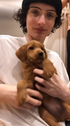 Finn Wolfhard : finn-wolfhard-1723141029.jpg