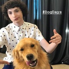 Finn Wolfhard : finn-wolfhard-1723213920.jpg