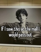 Finn Wolfhard : finn-wolfhard-1731434625.jpg