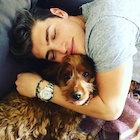 Gregg Sulkin : gregg-sulkin-1490323321.jpg