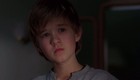 Haley Joel Osment : haley_joel_osment_1289700355.jpg