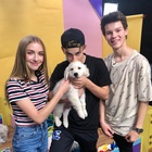 Hayden Summerall : TI4U1538854006.jpg