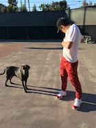 Hayes Grier : hayes-grier-1471397041.jpg