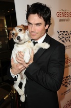 Ian Somerhalder : ian-somerhalder-1380141784.jpg