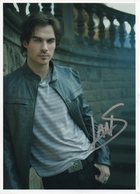 Ian Somerhalder : ian_somerhalder_1290797533.jpg