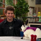 Jack Griffo : jack-griffo-1694891501.jpg