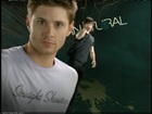 Jensen Ackles : TI4U_u1139326827.jpg