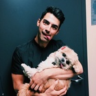 Joe Jonas : joe-jonas-1414524501.jpg