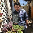 Joe Jonas : joe-jonas-1565566425.jpg