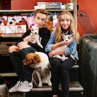 Johnny Orlando : johnny-orlando-1486063194.jpg