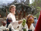 Kevin Bishop : kbi-muppets_103.jpg