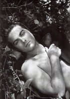 Kevin Zegers : flaunt_2a.jpg