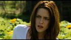 Kristen Stewart : kristen_stewart_1215133010.jpg