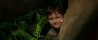 Levi Miller : levi-miller-1497568346.jpg