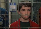 Liam Aiken : liam-aiken-1371169959.jpg