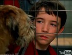 Liam Aiken : liam_aiken_1222912530.jpg