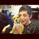 Logan Lerman : logan-lerman-1376672013.jpg