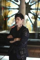 Matthew Daddario : matthew-daddario-1456438722.jpg