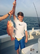 MattyB : mattyb-1426998601.jpg