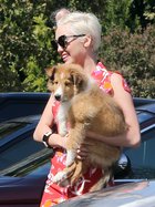 Miley Cyrus : miley-cyrus-1404665827.jpg