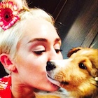 Miley Cyrus : miley-cyrus-1499220363.jpg