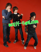 Nat Wolff : TI4U_u1217035434.jpg