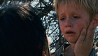 Nathan Gamble : nathan_gamble_1173933372.jpg