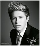 Niall Horan : niall-horan-1364794239.jpg