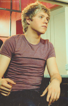 Niall Horan : niall-horan-1378313592.jpg