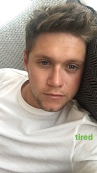 Niall Horan : niall-horan-1492740362.jpg