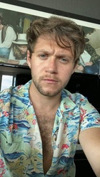 Niall Horan : niall-horan-1590008447.jpg